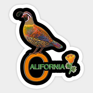 California quail state bird Californian poppy flowers Sticker